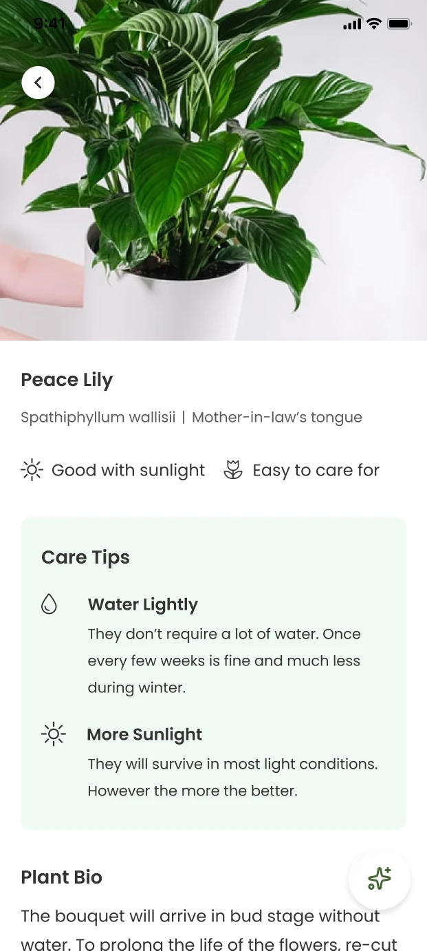 LFFY plant profile and care guidance